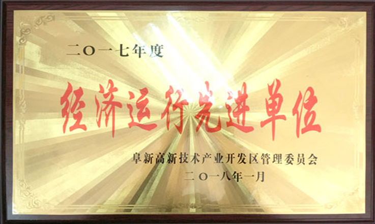 优发国际股份荣获“2017年度经济运行先进单位”称号